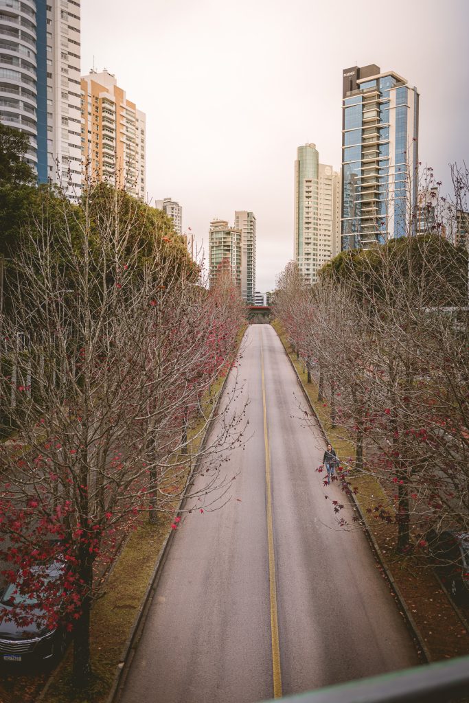 rua do outono - Mossunguê - temporada de fotografia